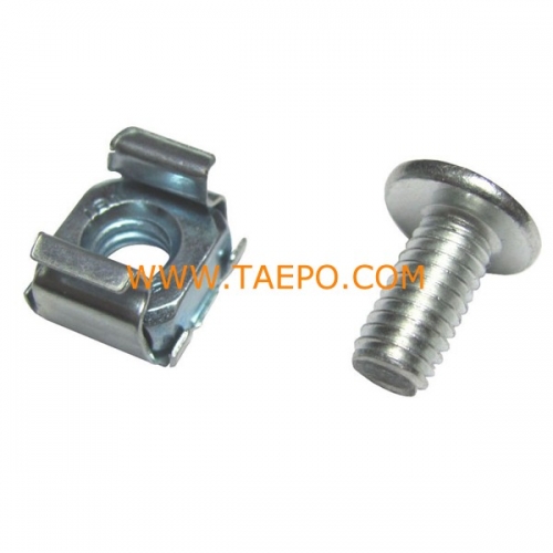 Screw and cage nut