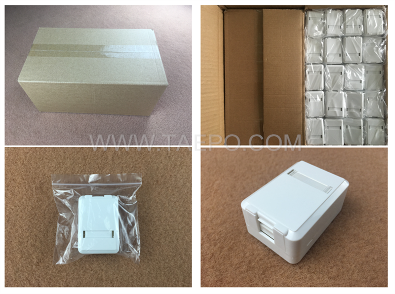 Packing picture for 1 port Cat5e 8P8C surface mount box 
