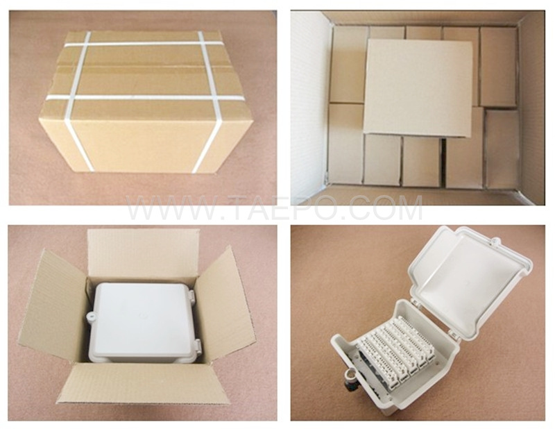 Packing Picture for 50 pair outdoor distribution point box
