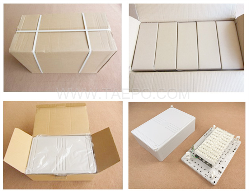 Packing Picture for 100 pair indoor distribution point box