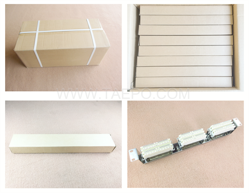 Packing Picture for 10 pairs 6 ways krone rack mounting frame for disconnection module 10 pair
