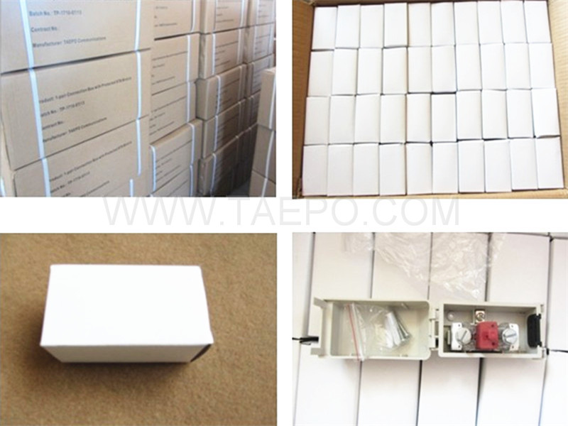 Packing Picture for Outdoor 1 pair subscriber connector unit for STB module