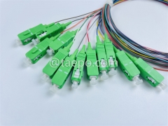 Single mode 12 fibers SC APC to SC APC Fiber optic fanout pigtail