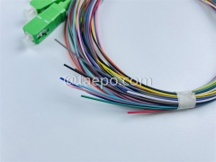 Single mode 12 fibers SC APC to SC APC Fiber optic fanout pigtail