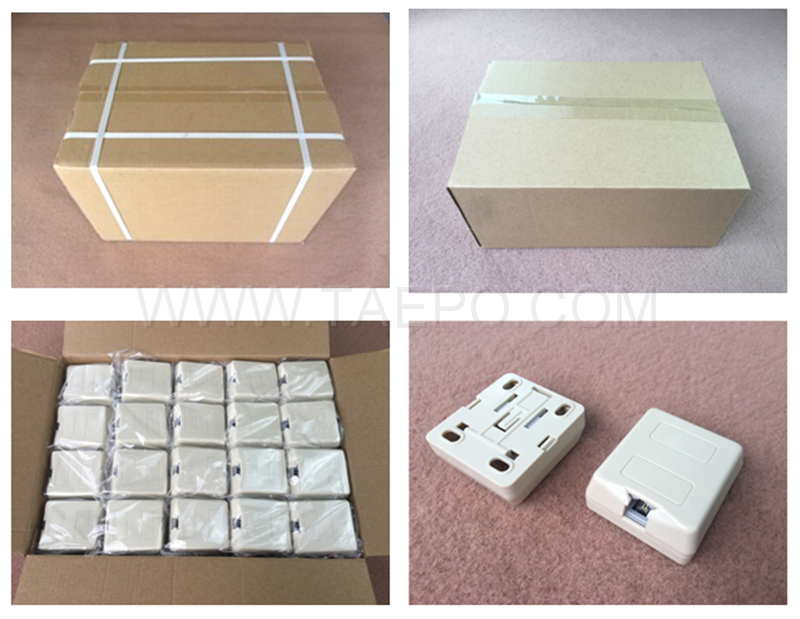 Packing picture for CAT3 2P2C jelly filled 1-port RJ11 telephone socket