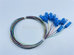 Single mode 12 fibers SC/UPC Fiber optic fanout pigtail with good price