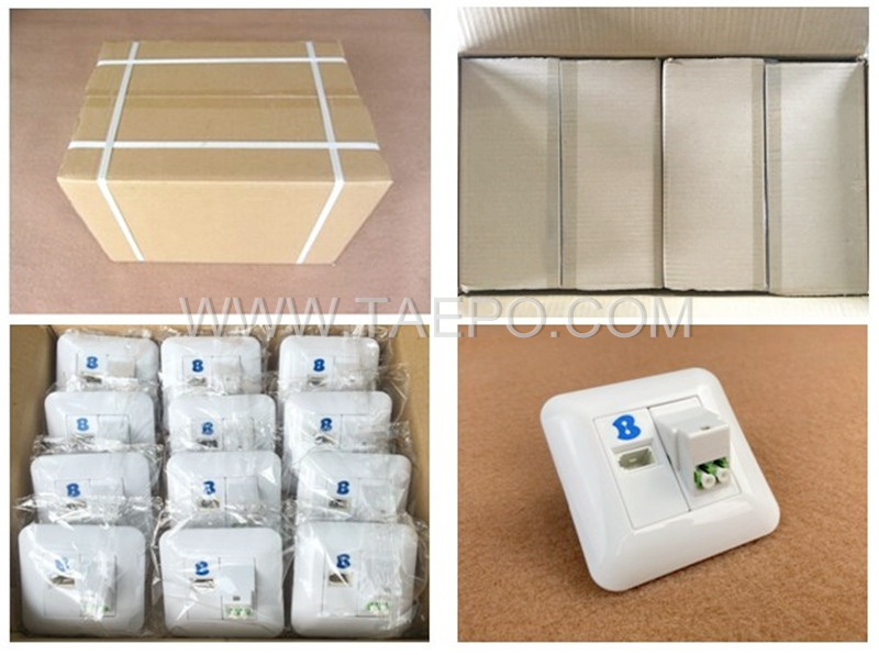 Packing Picture for Fiber optic wall outlet