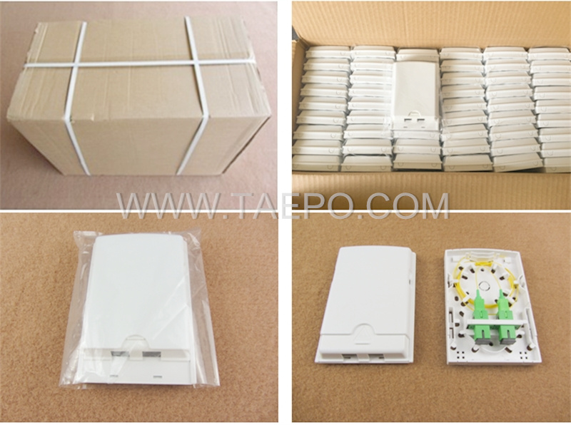 Packign Picture for 2 fibers plastic FTB Fiber terminal box 