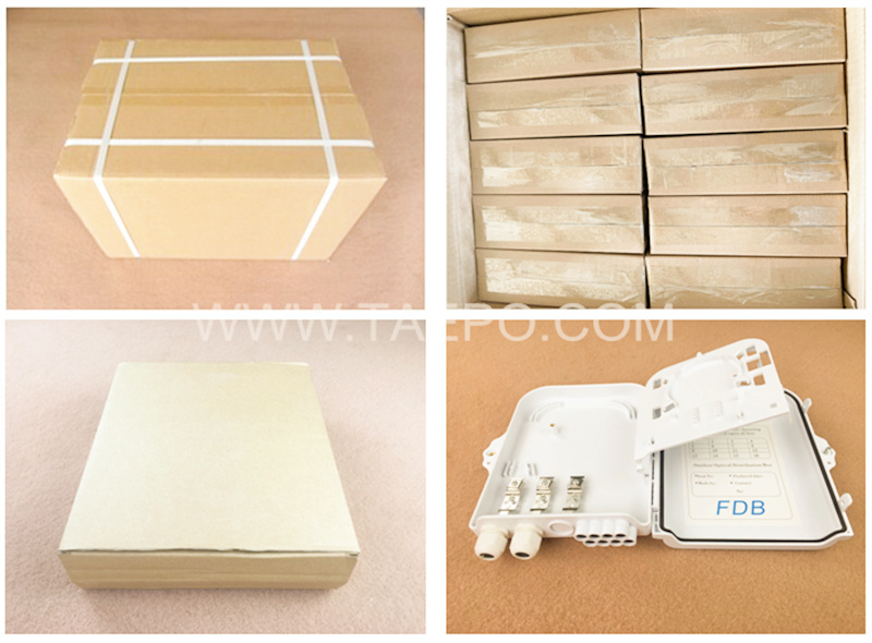 Packing Picture for 8 fibers plastic Fiber splitter FSB box