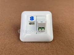 Fiber optic wall outlet with LC APC adapter duplex and 1-port UK socket