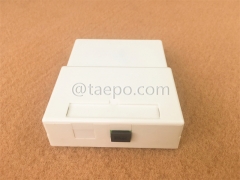 Indoor 2 fibers plastic FTTH Fiber termination FTB box with SC adapters and pigtails