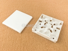 2 port SC Fiber optic surface mount box with SC adapters and pigtails