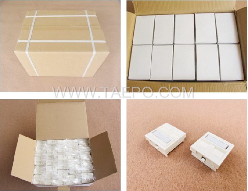 Packing Picture for 45x45mm 2 port French Style network faceplate insert 