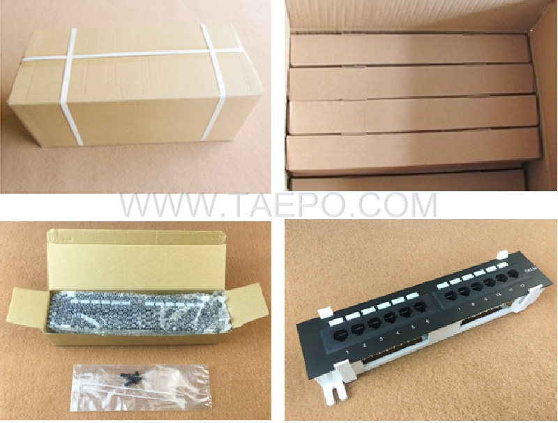 Packing Pictrue for 10 inch 1U CAT5E RJ45 UTP wall mounted 12 port network patch panel with bracket