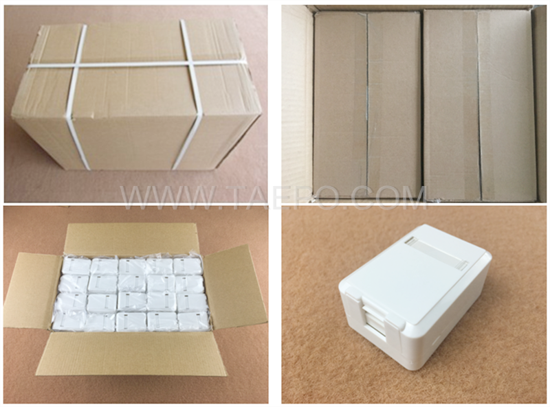 Packing Pictrure for CAT5E 8P8C 1 port surface mount box 