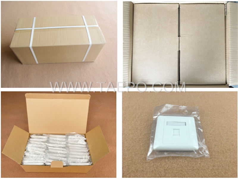 Packing Picture for 1-port RJ45 network wall faceplate