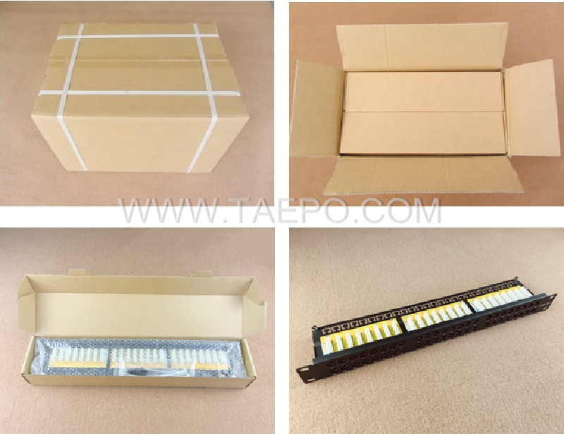 Packing Picture for 19 inch 1U cat6 48 port patch panel