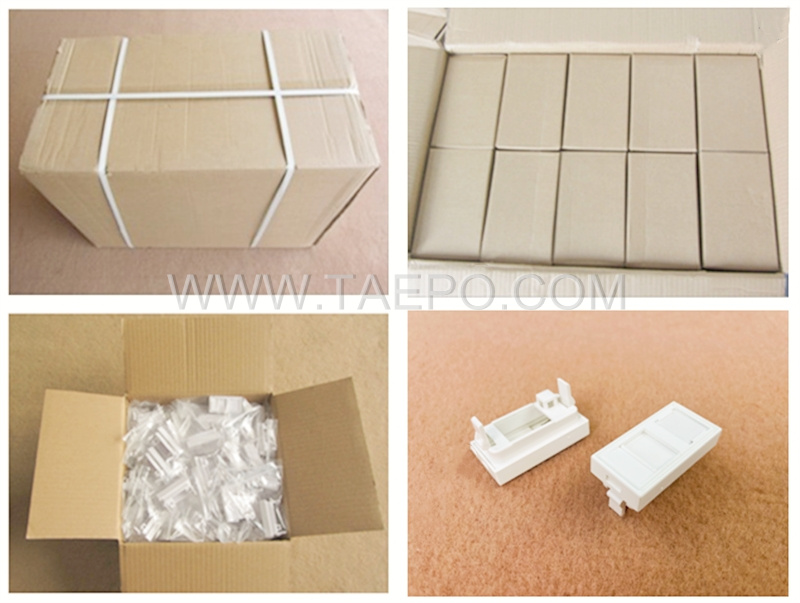 Packing Piture for 1 port French styple network faceplate insert