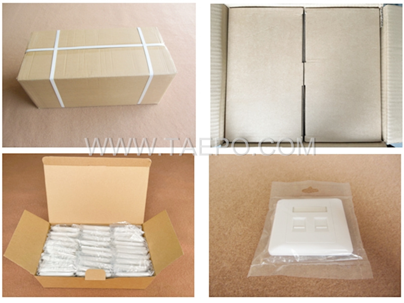 Packing Picture for 2 port RJ45 double network wall faceplate