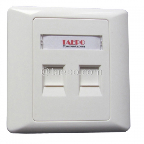 86x86mm AP style 2 port RJ45 double network wall faceplate