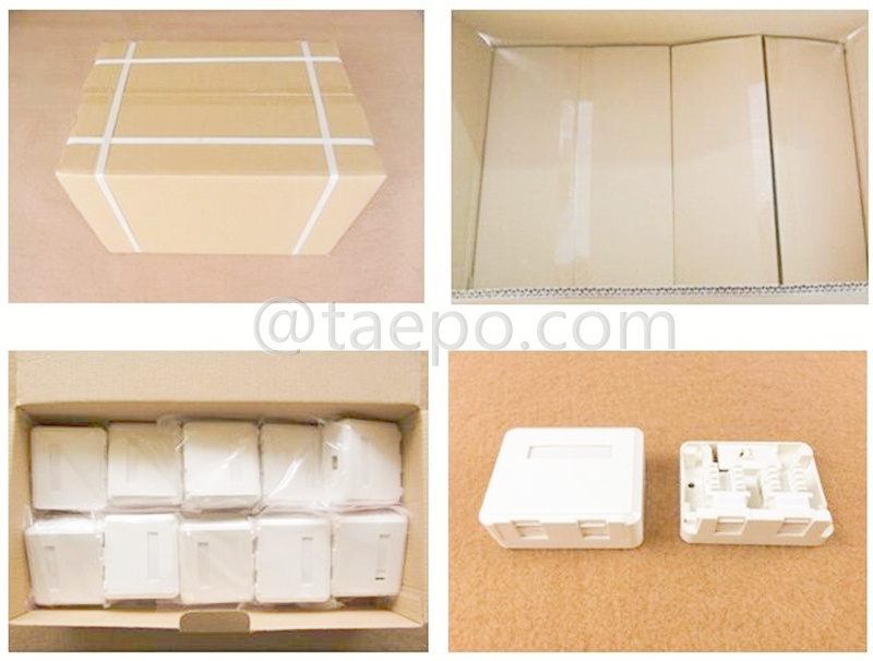 Packing Picture for 2 port surface mount box