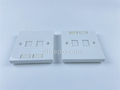 86x86mm UK style 2 port face plate from China Manufacturer for Sale