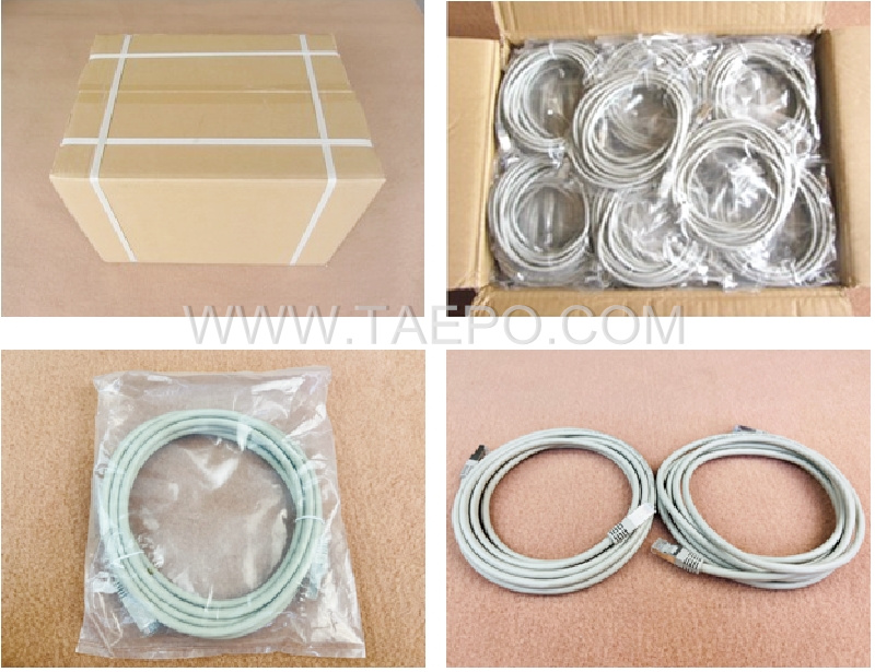 Packing Picture for cat6a ftp stp patch cable