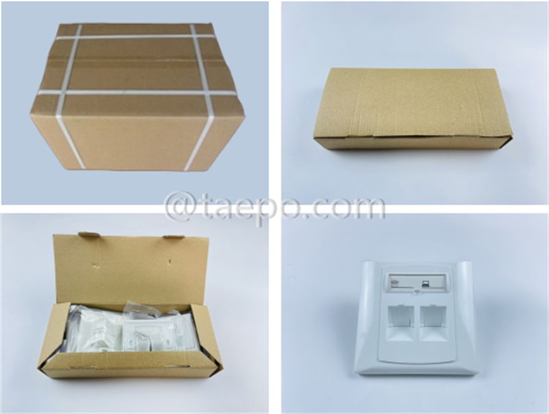 Packing Picture for German style 2 port RJ45 network face plates