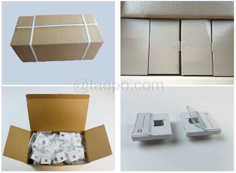 Packing Picture for French style 1 port faceplate insert