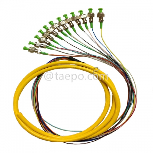 Singlemode 12 fibers bunchy FC APC Fiber optic fanout pigtail