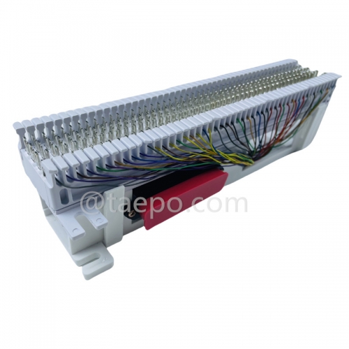 50 pairs S66M block with 1 female 50-pin RJ21 connection